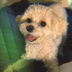 Meet your Posher, Joanna